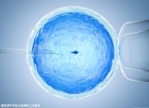 李晴阳院长